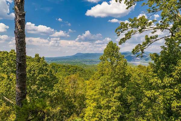 2.3 Acres of Residential Land for Sale in Ranger, Georgia