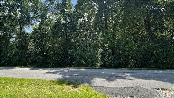 0.78 Acres of Residential Land for Sale in Floral City, Florida