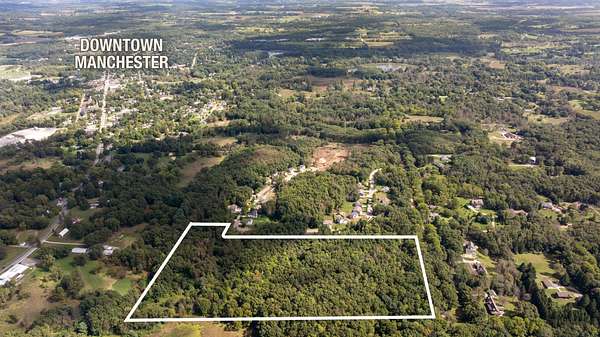 18.3 Acres of Land for Sale in Manchester, Michigan