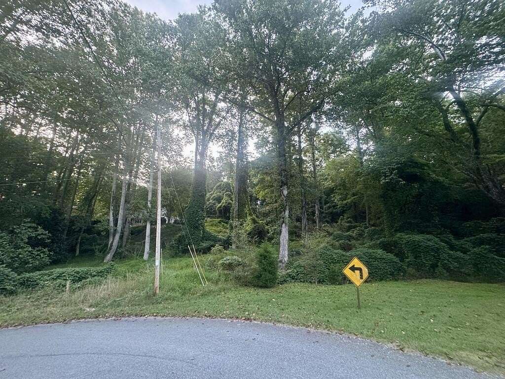 0.5 Acres of Residential Land for Sale in Morganton, Georgia