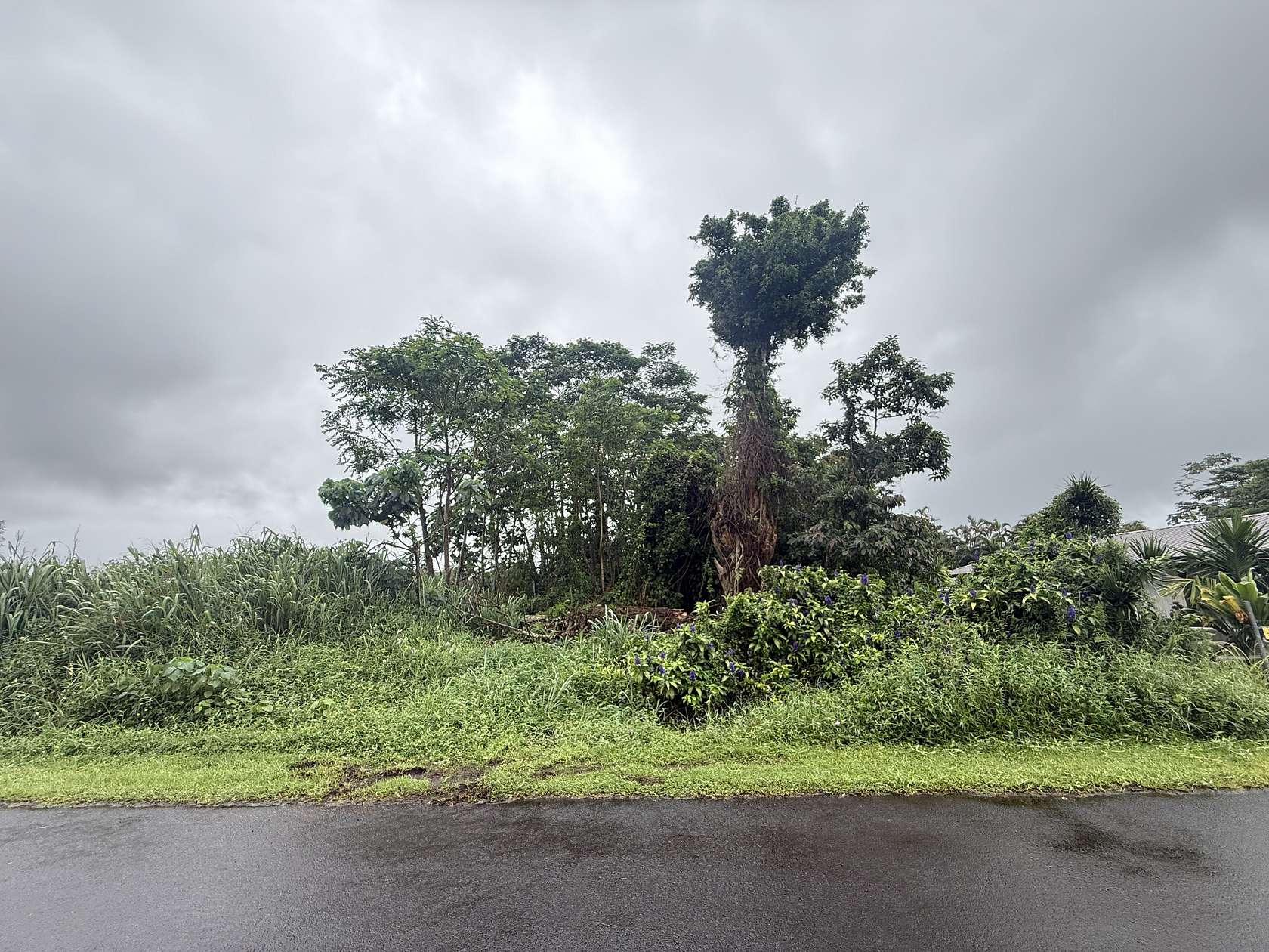 0.28 Acres of Residential Land for Sale in Pahoa, Hawaii