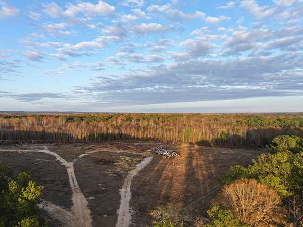 30 Acres of Land for Lease in Montgomery, Alabama