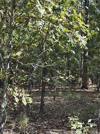 20 Acres of Recreational & Residential Land for Sale in Van Buren, Missouri