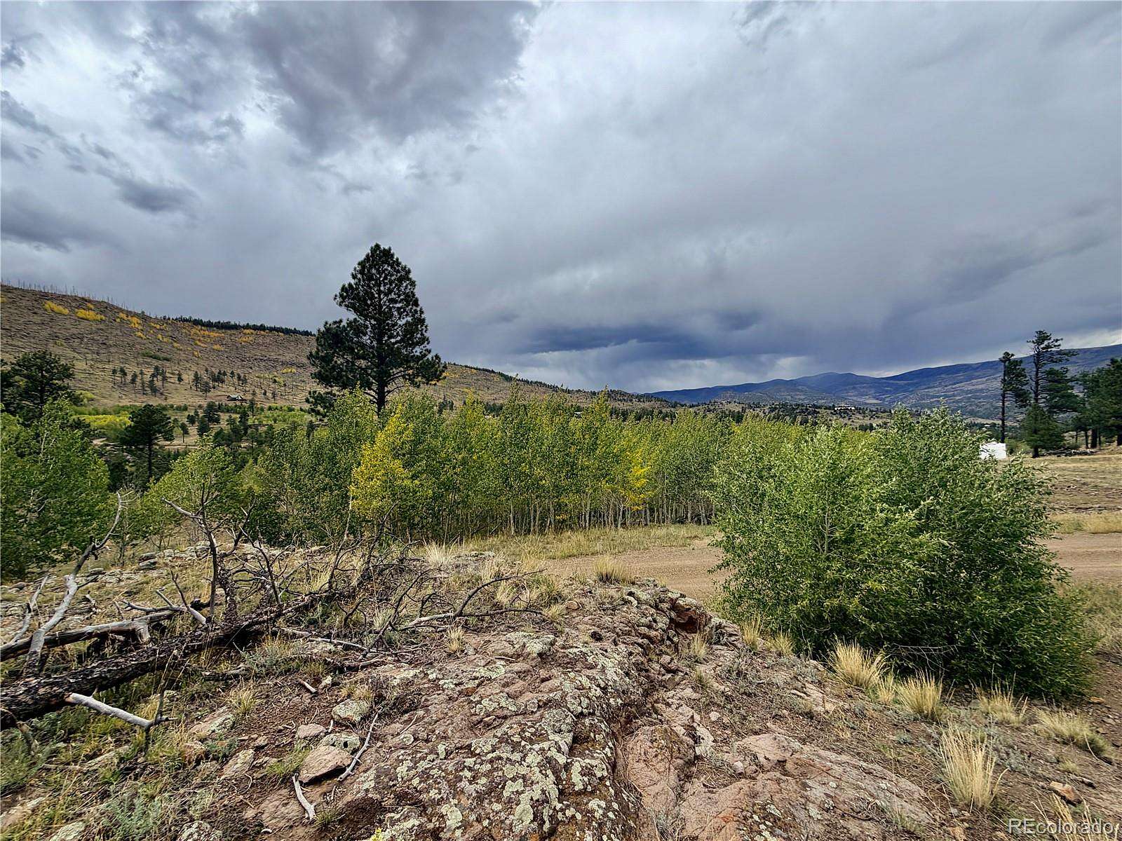 6.29 Acres of Residential Land for Sale in South Fork, Colorado