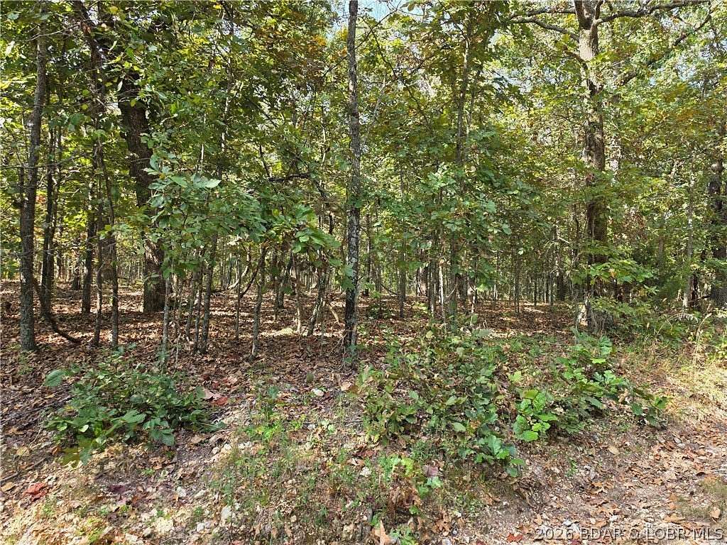 16 Acres of Recreational & Residential Land for Sale in Edwards, Missouri