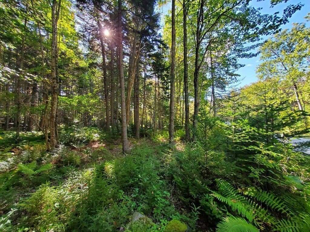 16.6 Acres of Land for Sale in Brooklin, Maine