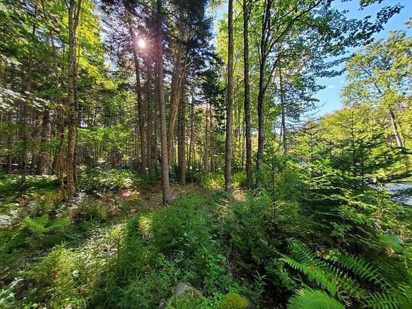 16.6 Acres of Land for Sale in Brooklin, Maine