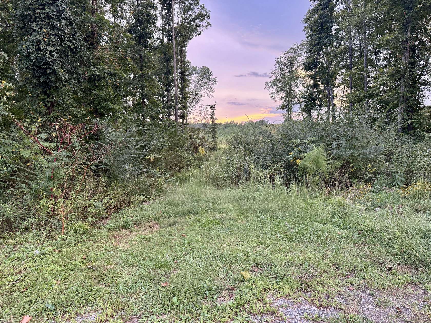 5.58 Acres of Residential Land for Sale in Decatur, Tennessee