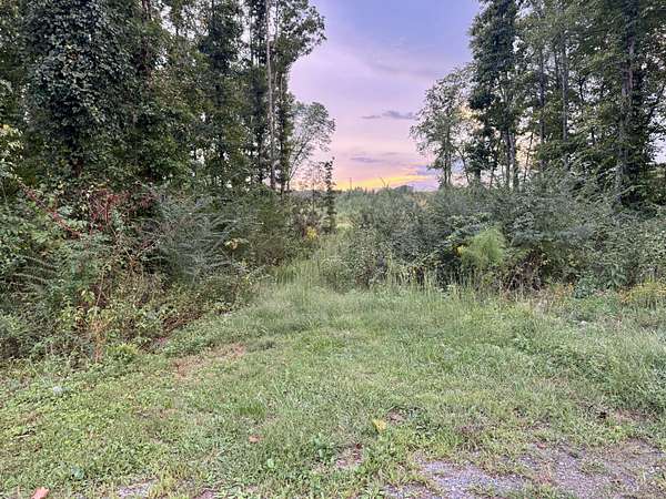 5.58 Acres of Residential Land for Sale in Decatur, Tennessee