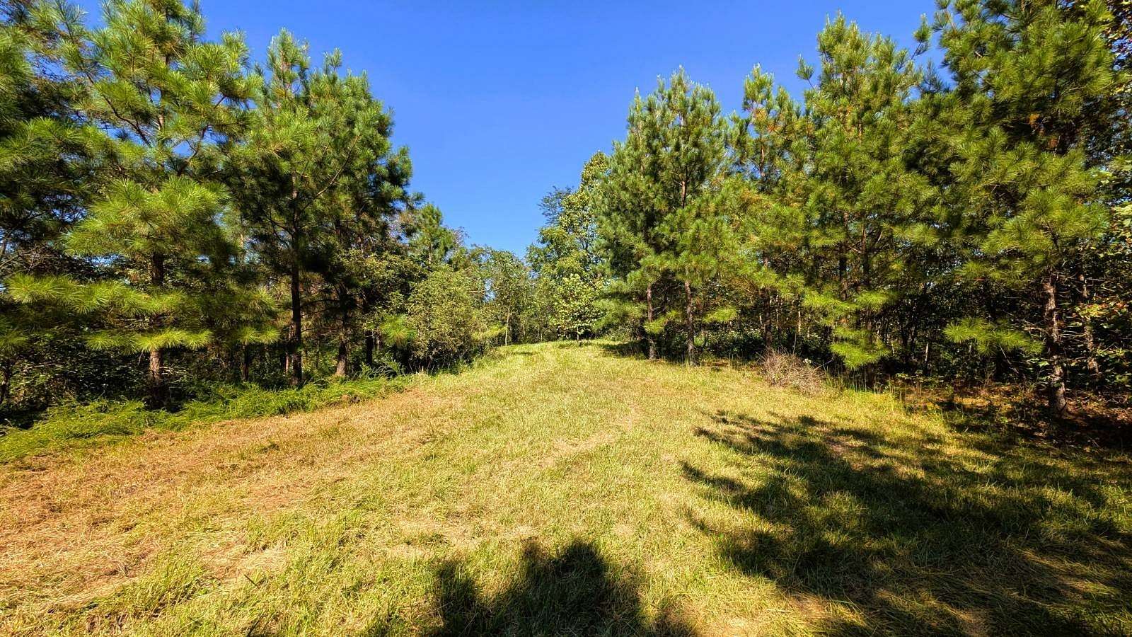 34.6 Acres of Recreational & Residential Land for Sale in Jackson, Ohio