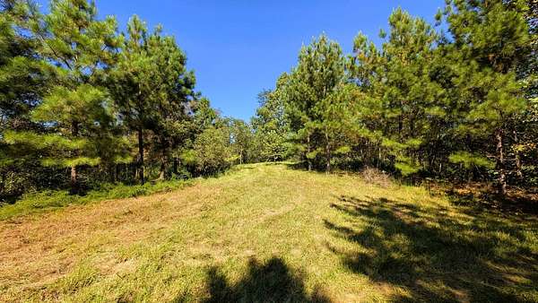 34.6 Acres of Recreational & Residential Land for Sale in Jackson, Ohio
