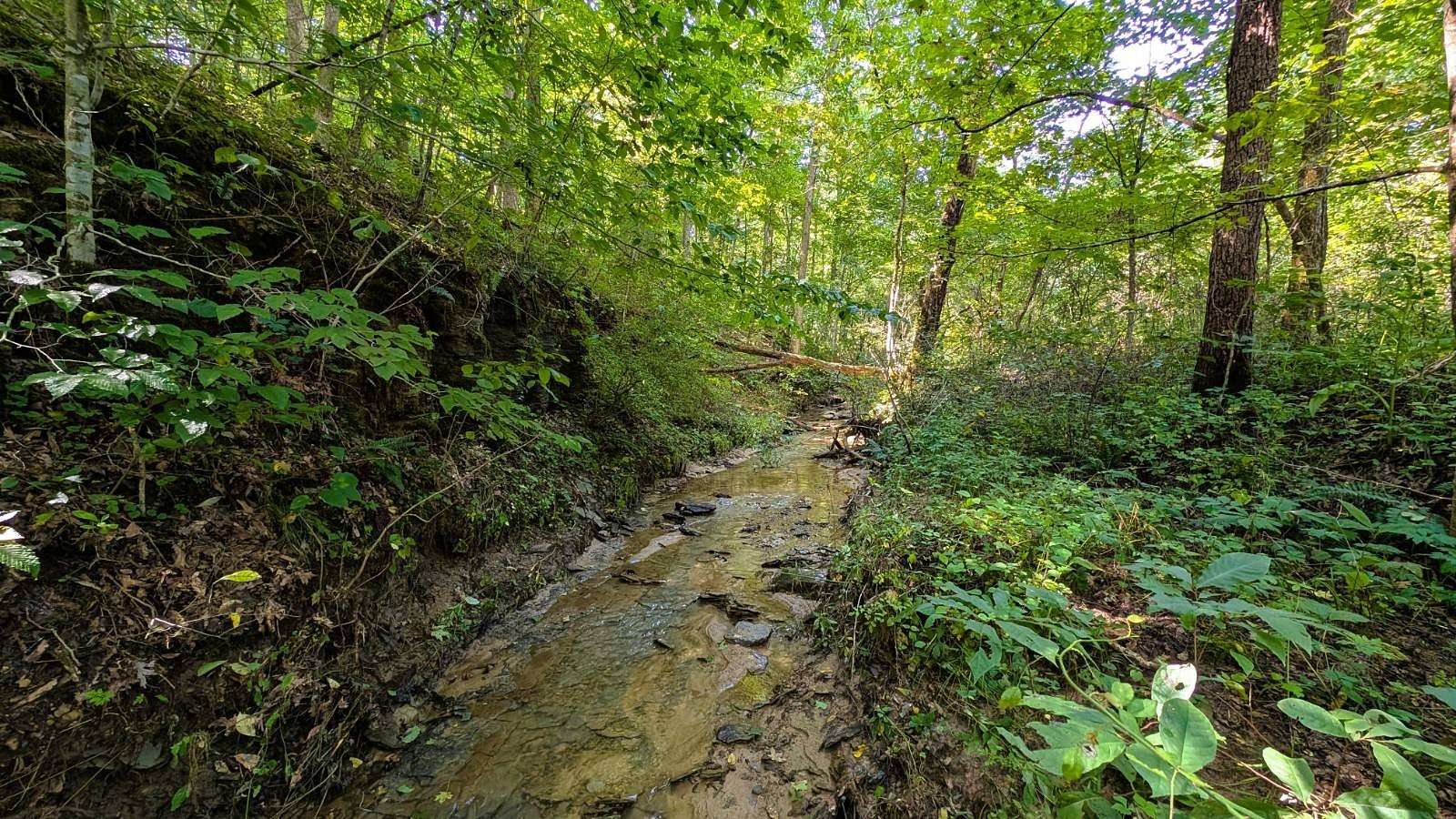 21.4 Acres of Recreational & Residential Land for Sale in Chesterhill, Ohio