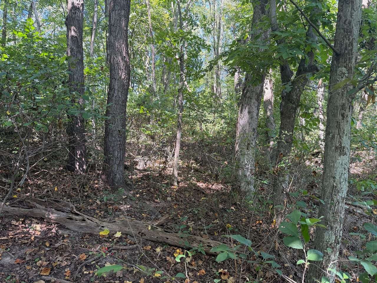 4 Acres of Land for Sale in Staunton, Virginia