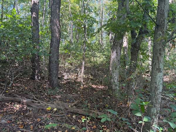 4 Acres of Land for Sale in Staunton, Virginia