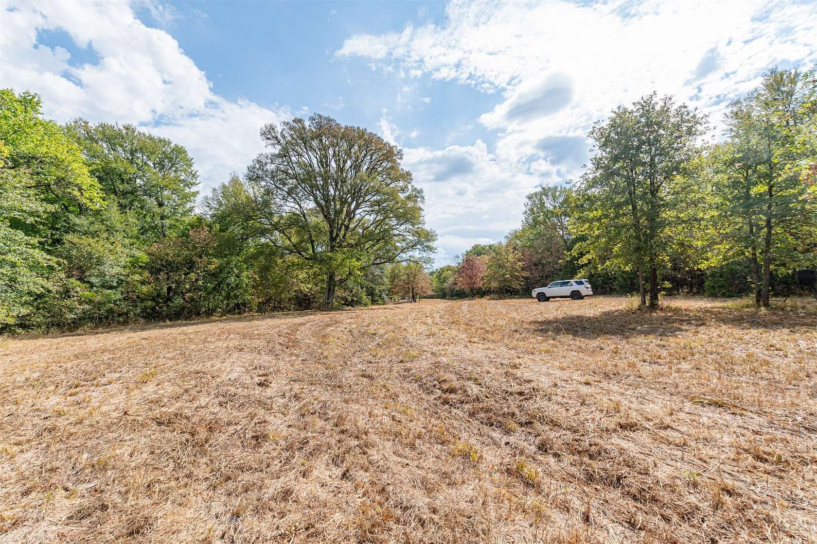 69 Acres of Land for Sale in Lone Oak, Texas
