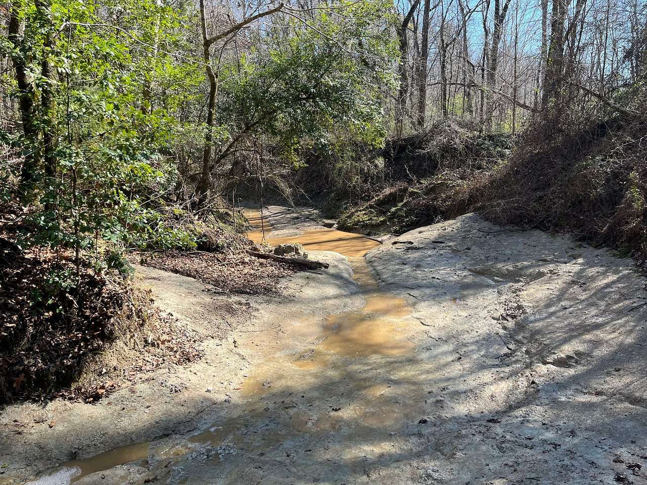 57 Acres of Recreational Land for Sale in St. Francisville, Louisiana