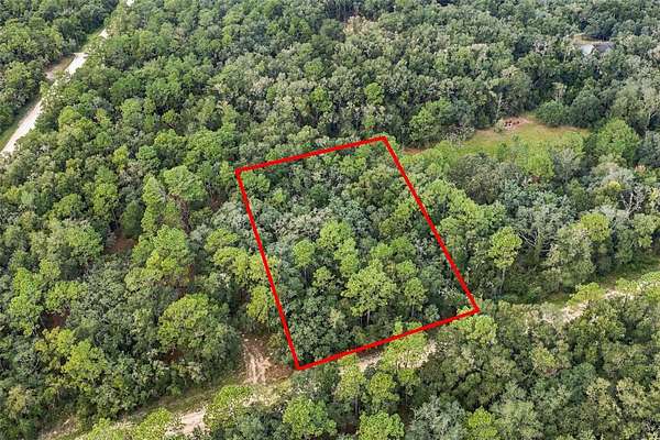 1.2 Acres of Residential Land for Sale in Webster, Florida
