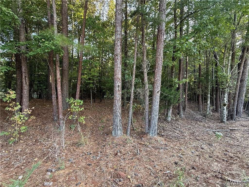 2.65 Acres of Residential Land for Sale in Cottondale, Alabama