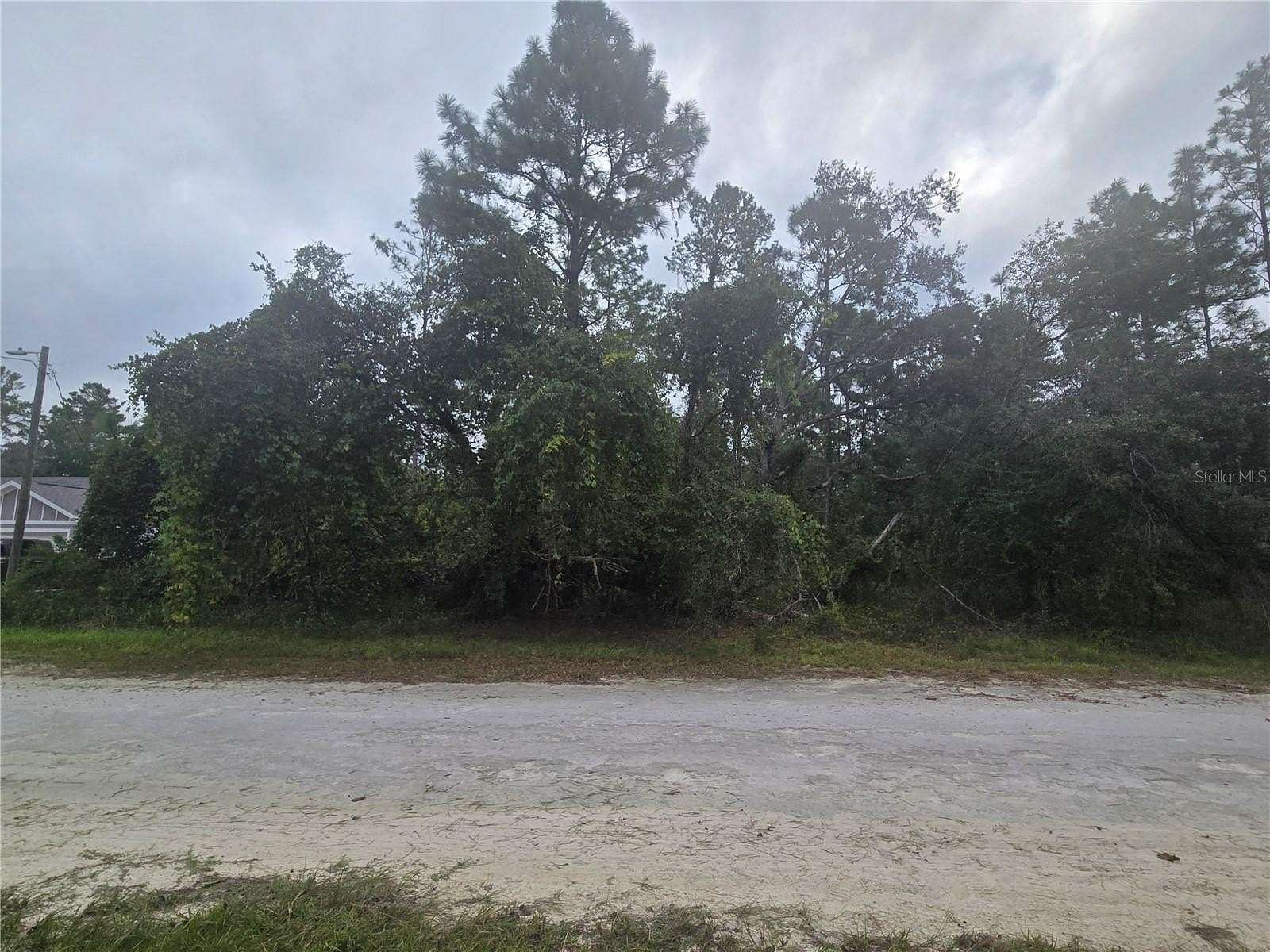 0.46 Acres of Residential Land for Sale in Weeki Wachee, Florida