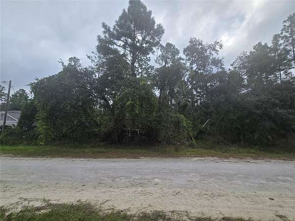 0.46 Acres of Residential Land for Sale in Weeki Wachee, Florida