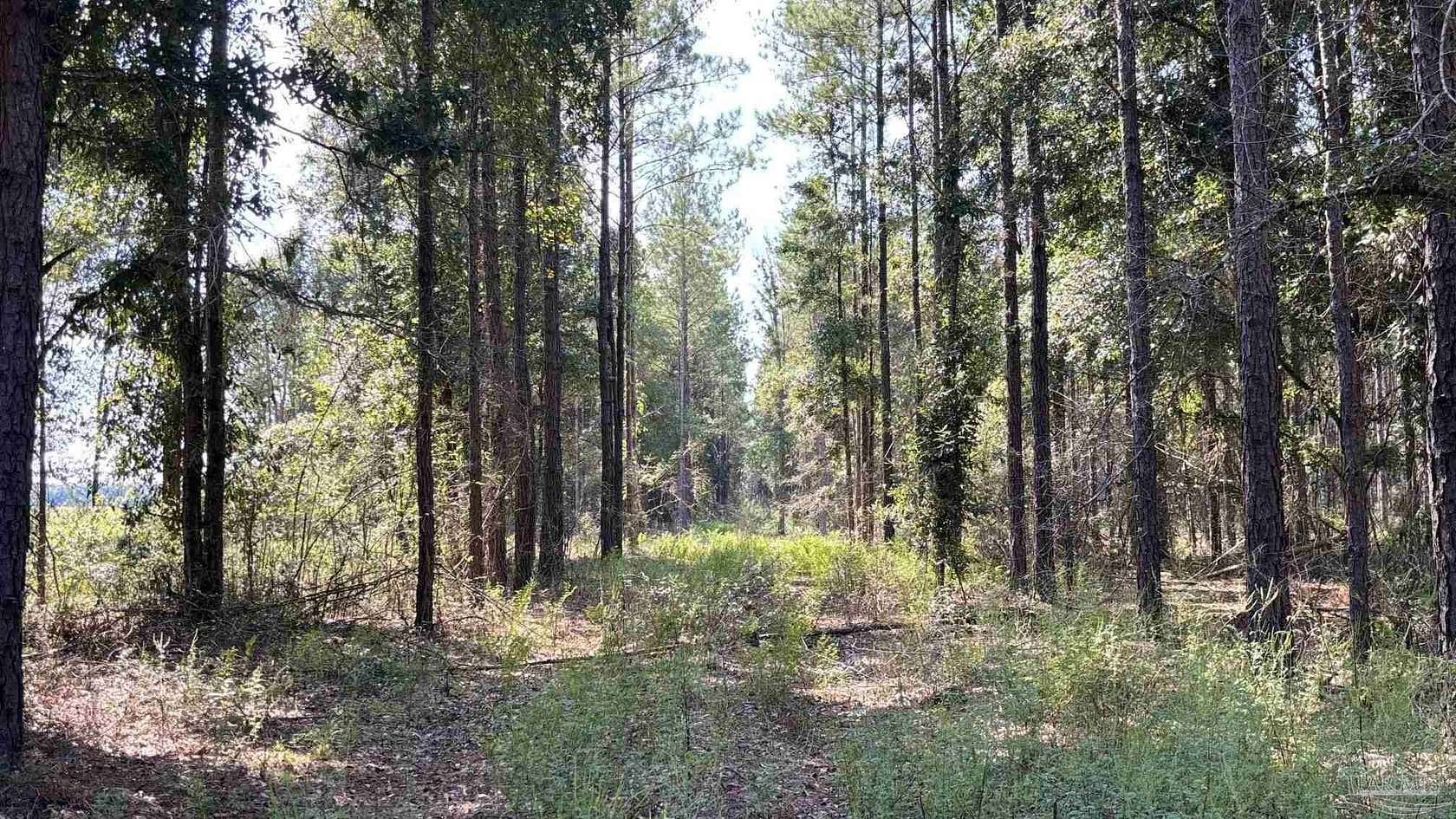 1.44 Acres of Residential Land for Sale in Milton, Florida