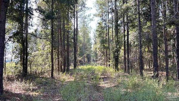 1.44 Acres of Residential Land for Sale in Milton, Florida
