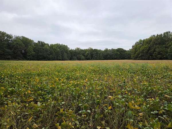 51.5 Acres of Land for Sale in Smiths Grove, Kentucky
