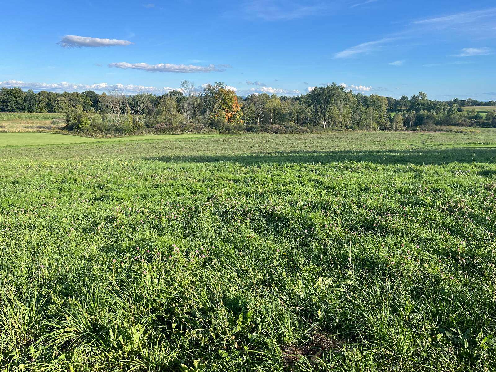 8.75 Acres of Land for Sale in Fort Ann, New York
