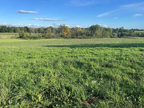8.75 Acres of Land for Sale in Fort Ann, New York