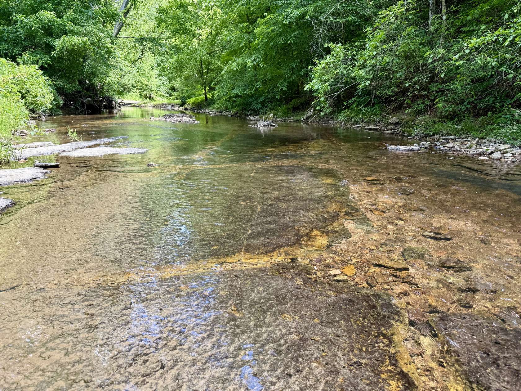 139 Acres of Land for Sale in Westpoint, Tennessee