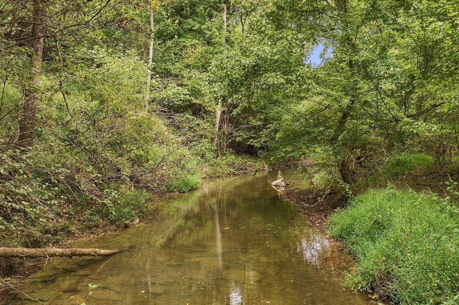 8.73 Acres of Land with Home for Sale in Castalian Springs, Tennessee