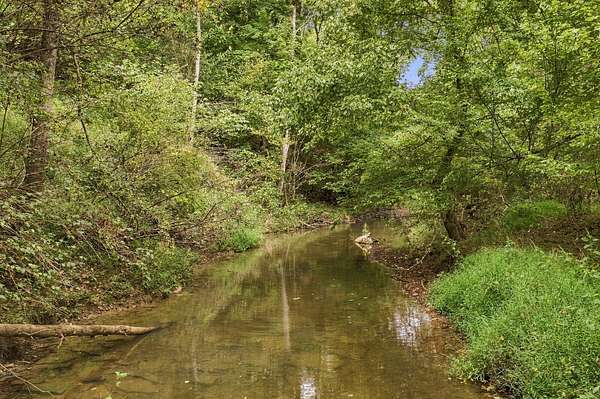 8.73 Acres of Land with Home for Sale in Castalian Springs, Tennessee