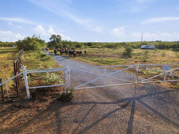 95 Acres of Land for Sale in Perrin, Texas