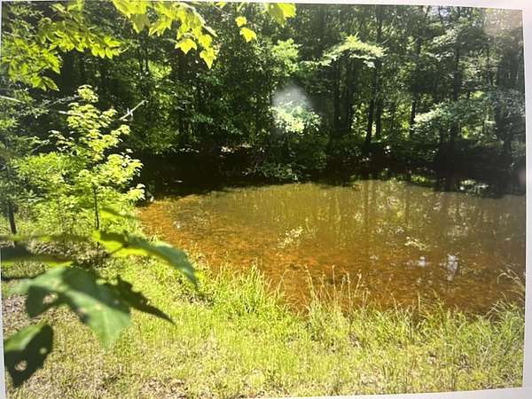 30 Acres of Recreational & Residential Land for Sale in Stanton, Tennessee
