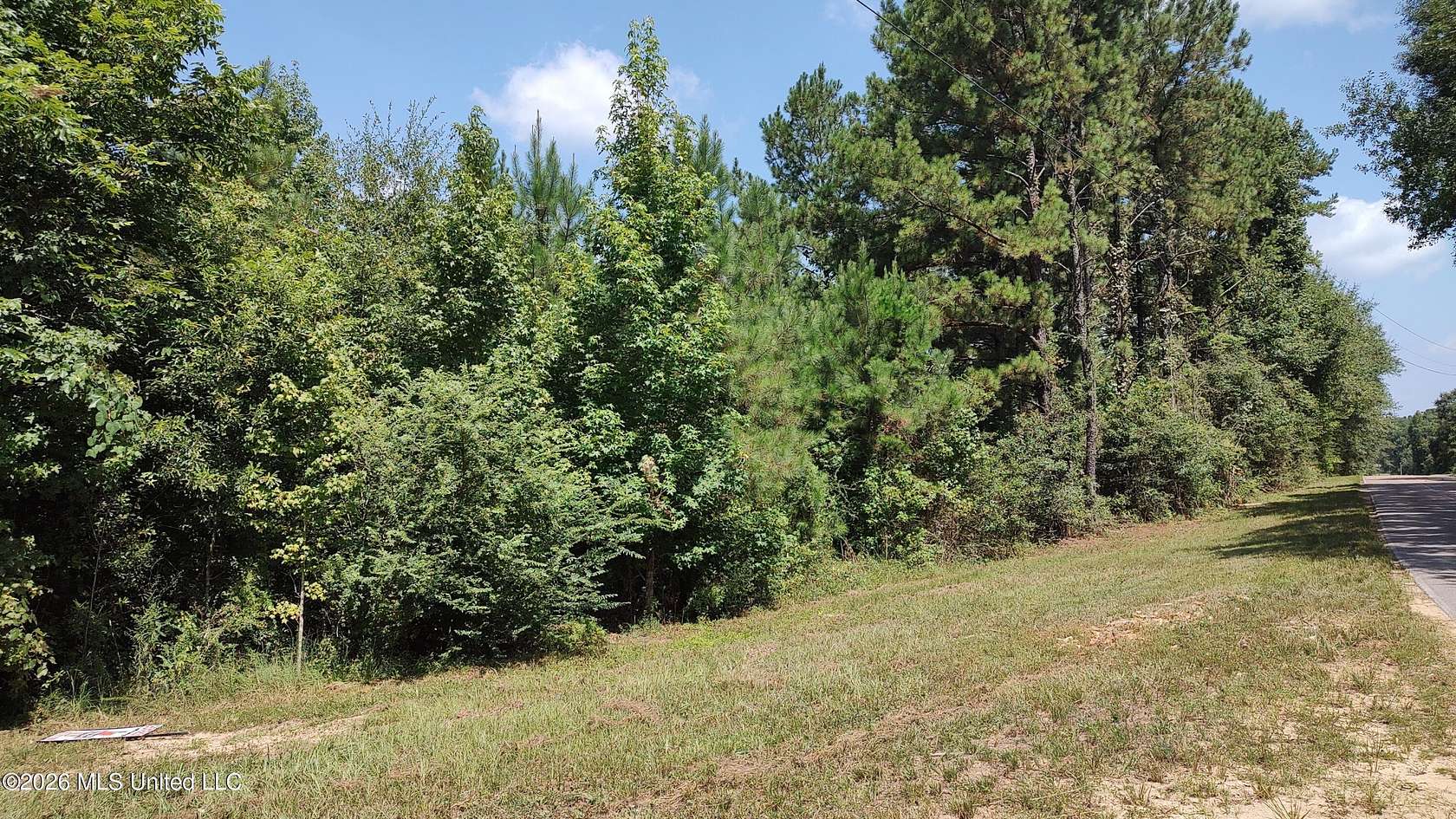 37.7 Acres of Recreational Land for Sale in Lumberton, Mississippi
