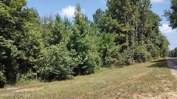 37.7 Acres of Recreational Land for Sale in Lumberton, Mississippi