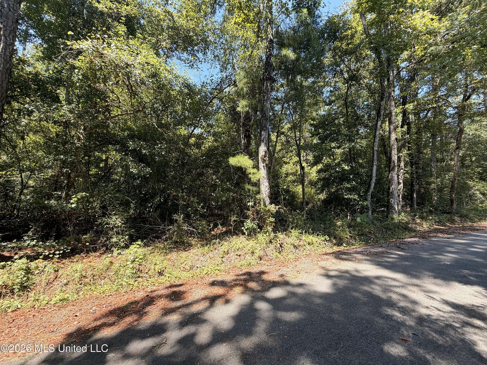 0.24 Acres of Residential Land for Sale in Lucedale, Mississippi