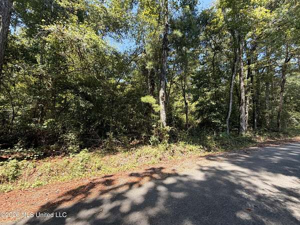 0.24 Acres of Residential Land for Sale in Lucedale, Mississippi
