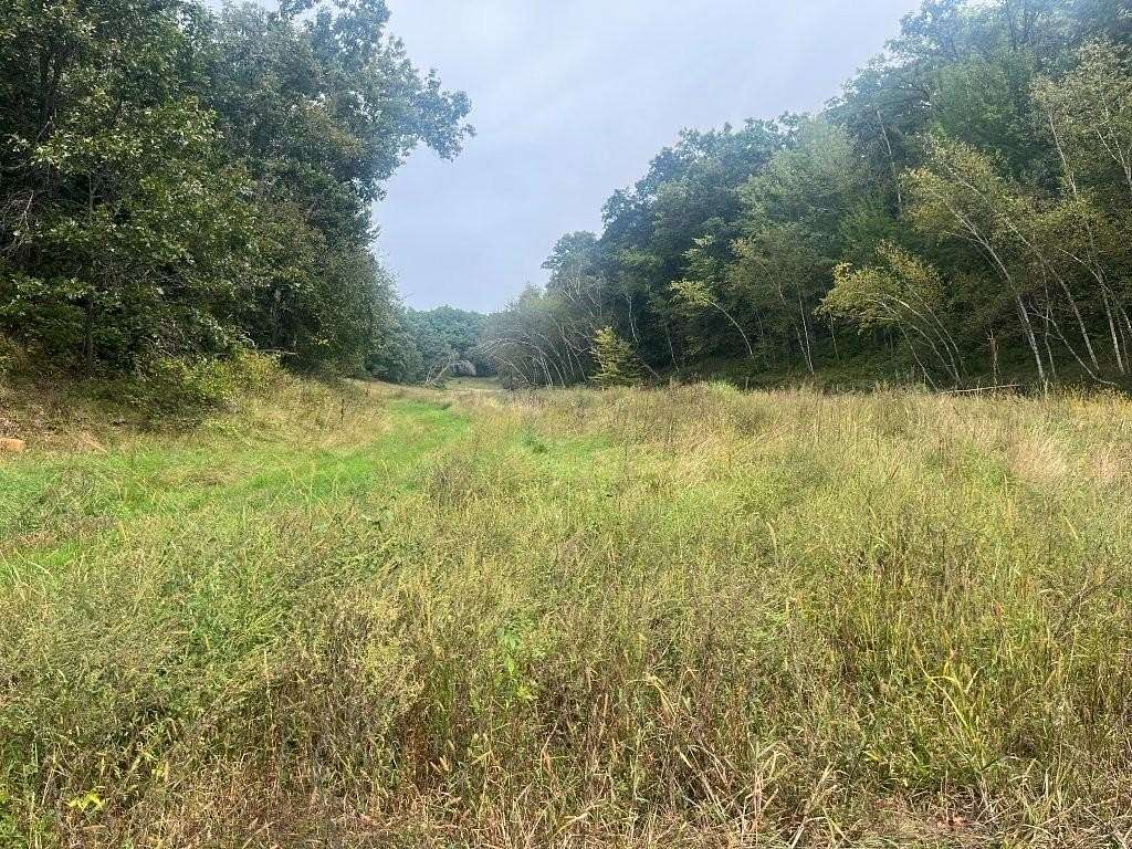 180 Acres of Land for Sale in Taylor, Wisconsin