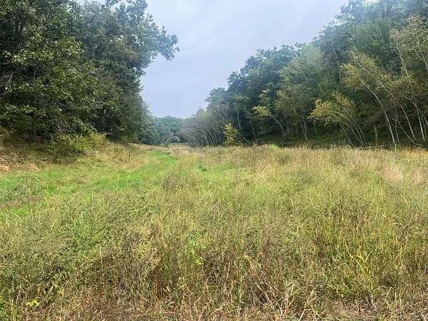 180 Acres of Land for Sale in Taylor, Wisconsin