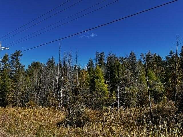 5 Acres of Land for Sale in Wolverine, Michigan