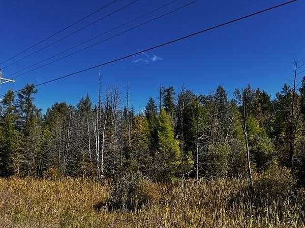 5 Acres of Land for Sale in Wolverine, Michigan