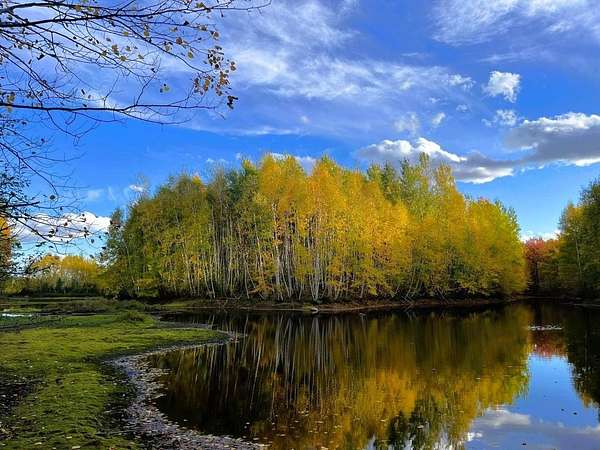 319 Acres of Recreational Land for Sale in Fifield, Wisconsin