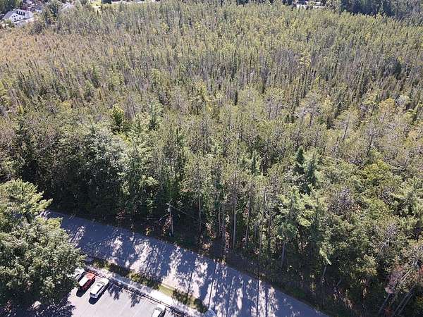 0.45 Acres of Residential Land for Sale in Indian River, Michigan