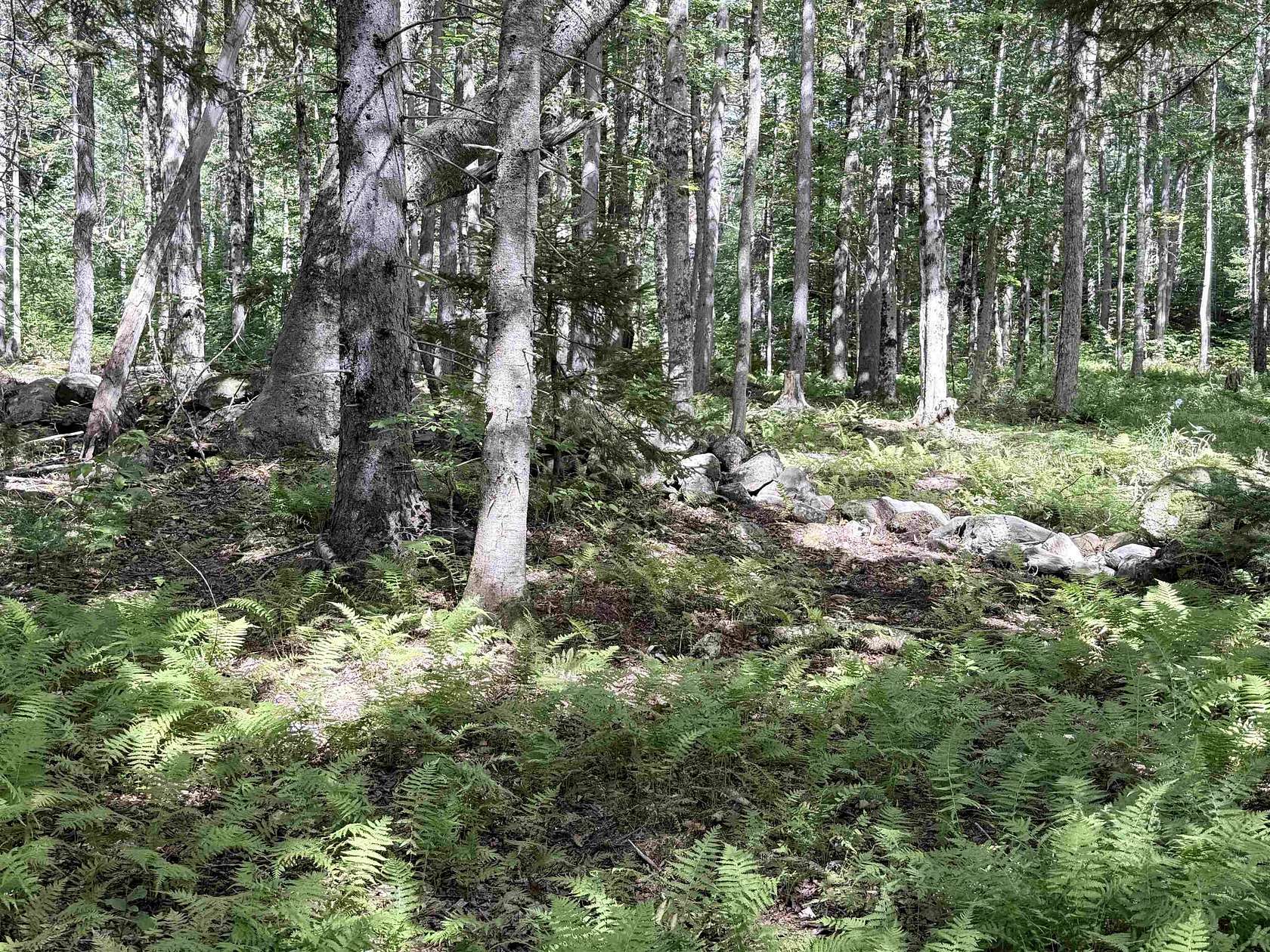 59 Acres of Recreational & Residential Land for Sale in Windham, Vermont