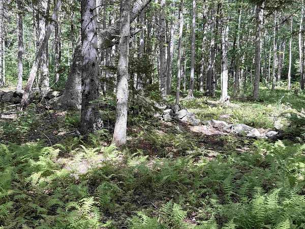 59 Acres of Recreational & Residential Land for Sale in Windham, Vermont