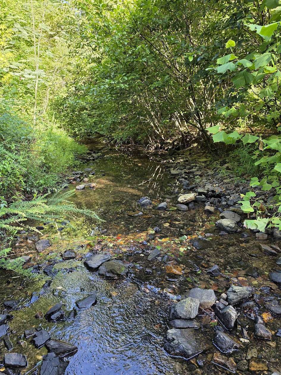 40 Acres of Recreational Land for Sale in Mena, Arkansas