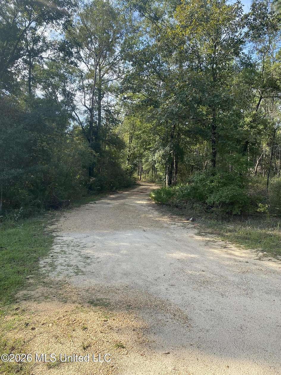 5.9 Acres of Residential Land for Sale in Perkinston, Mississippi