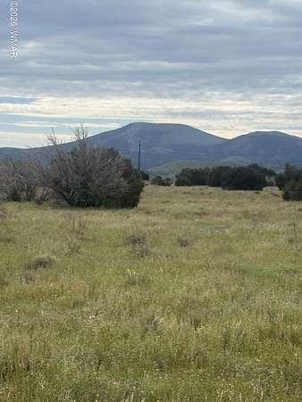 7.52 Acres of Residential Land for Sale in Vernon, Arizona