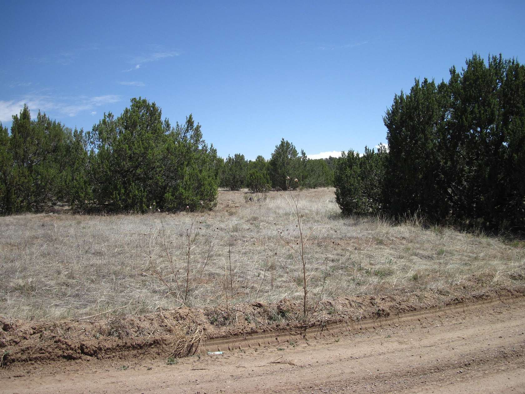 2 Acres of Land for Sale in Edgewood, New Mexico